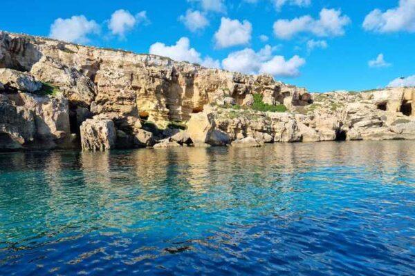 Bue Marino di Favignana