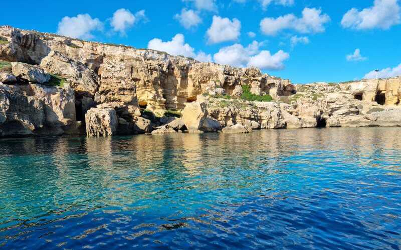 Bue Marino di Favignana